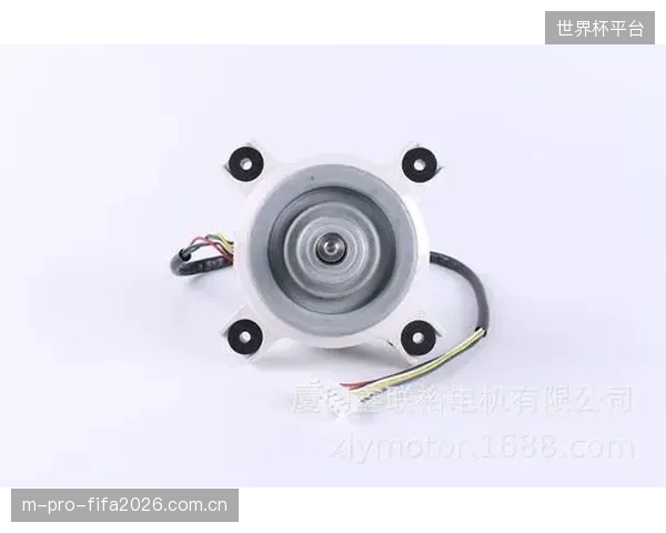 过度宣传BLDC电机的节能效果,却对背后锂电池的回收与环境影响避而不谈,这是一种选择性的“绿色叙事 过度宣传BLDC电机的节能效果,却对背后锂电池的回收与环境影响避而不谈,这是一种选择性的“绿色叙事
